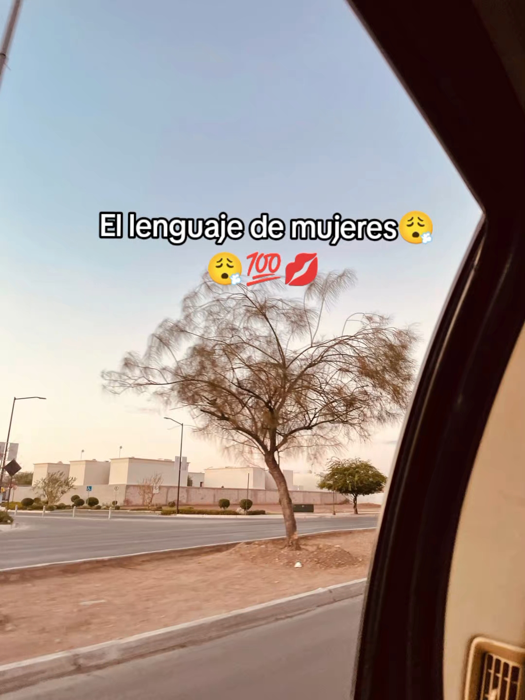 @˙⊹ ੈ✰┆ ℳ𝒾𝒸𝒽ℯ𝓁𝓁ℯ┆˙⊹ ੈ✰