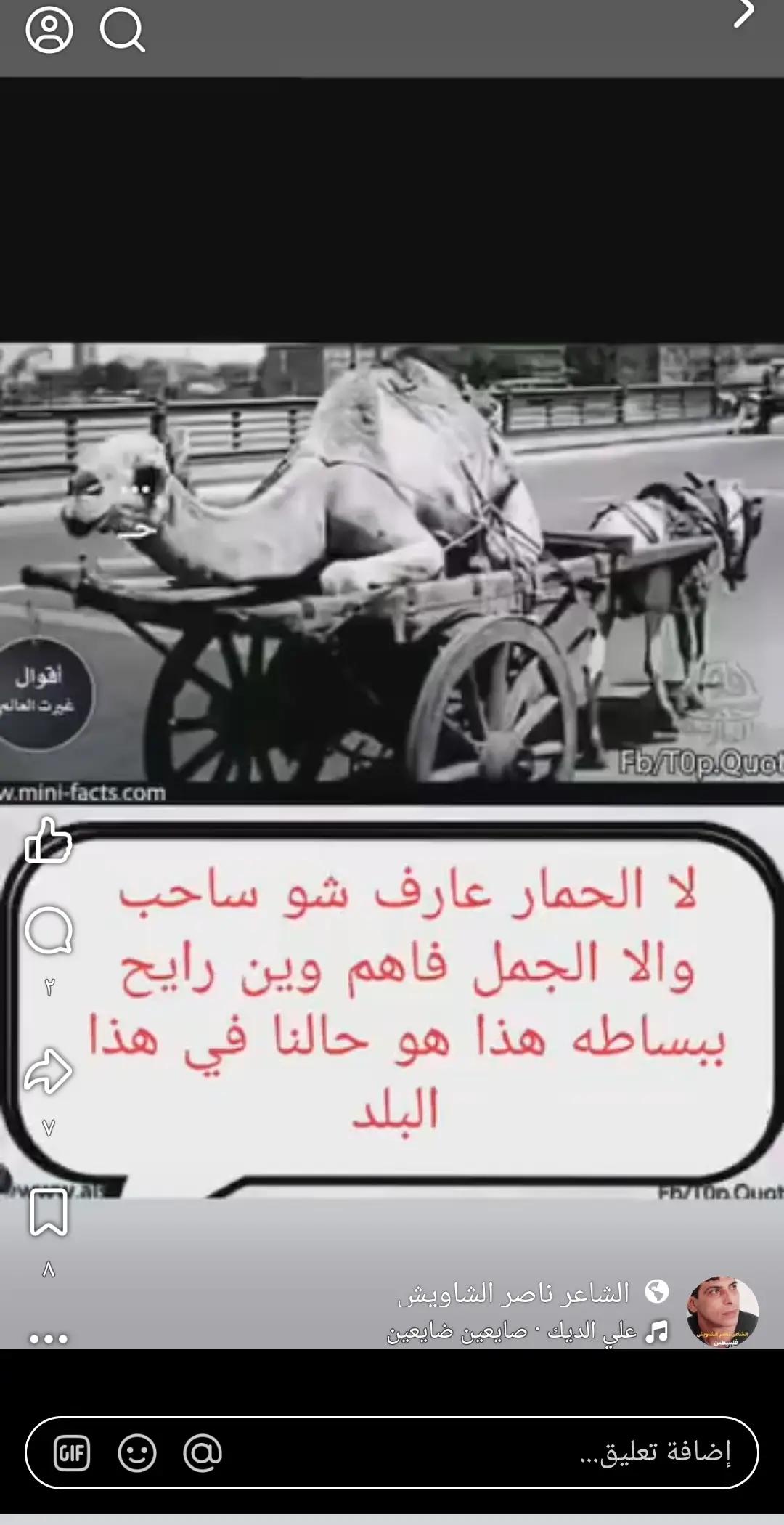 @محمد جرادات
