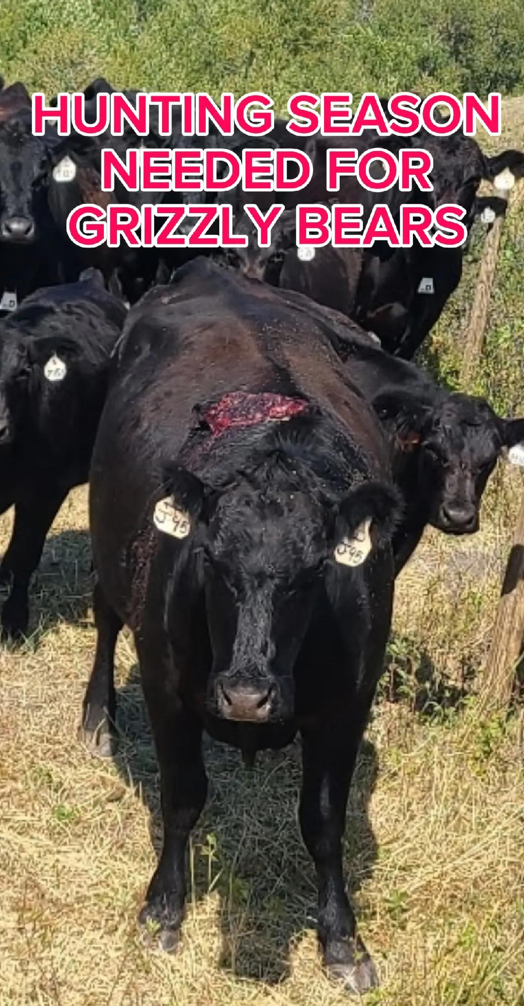 @1HANDNFARMING ๐ฆพ๐พ๐๐