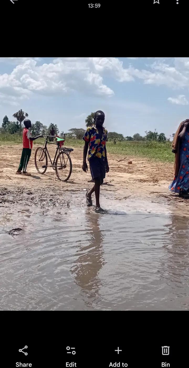 @josila