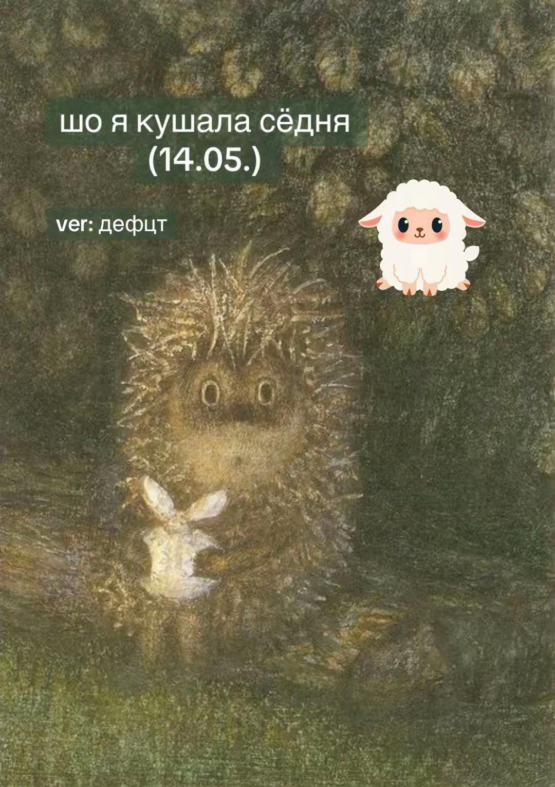 @вертiка 🪽