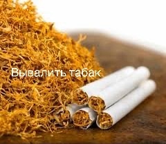 @Ботаник Ярик