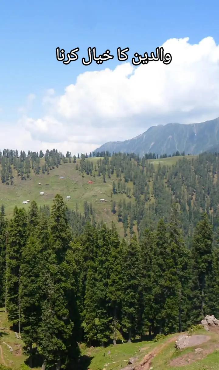 @MuغãL NãFéèS.ajk33