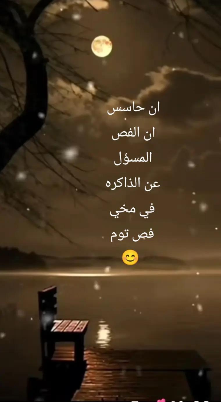 @ن والقلم