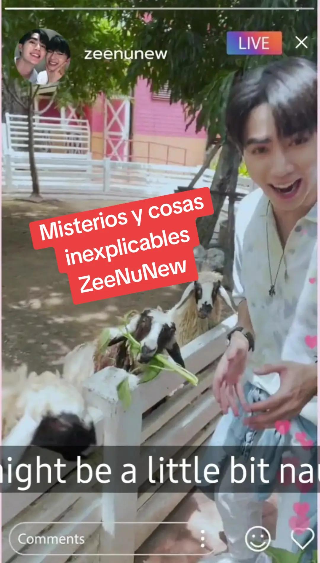 @ₛᵤₙᵣᵢₛₑ 🌮