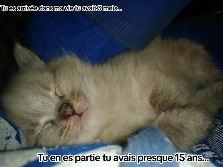 @Victoria - LTDB 🦁