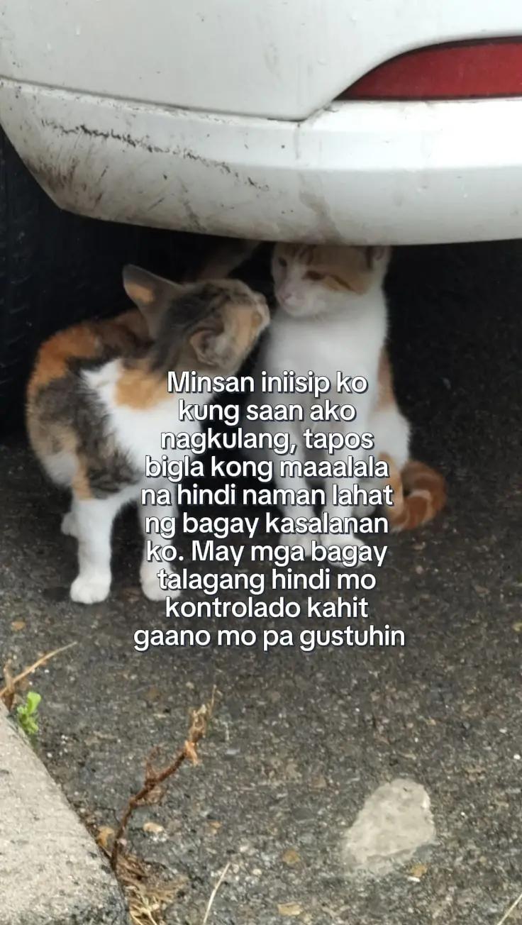 @bbf ni ann.