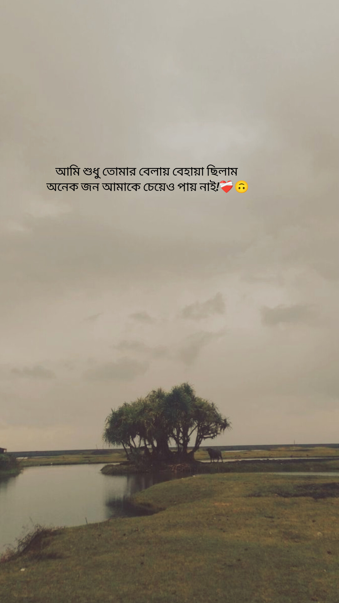 @Life.storyđ