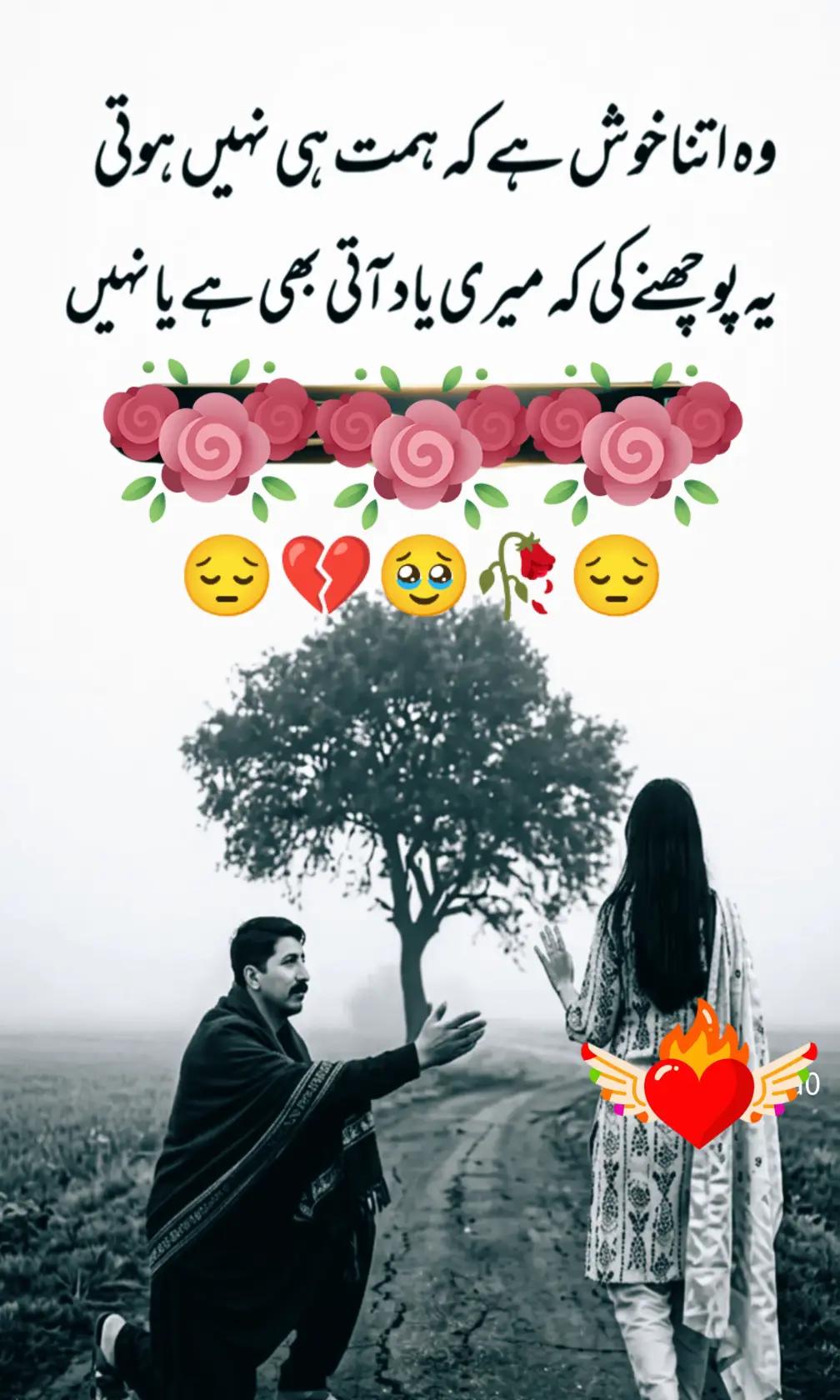@Hassan Hussain💞