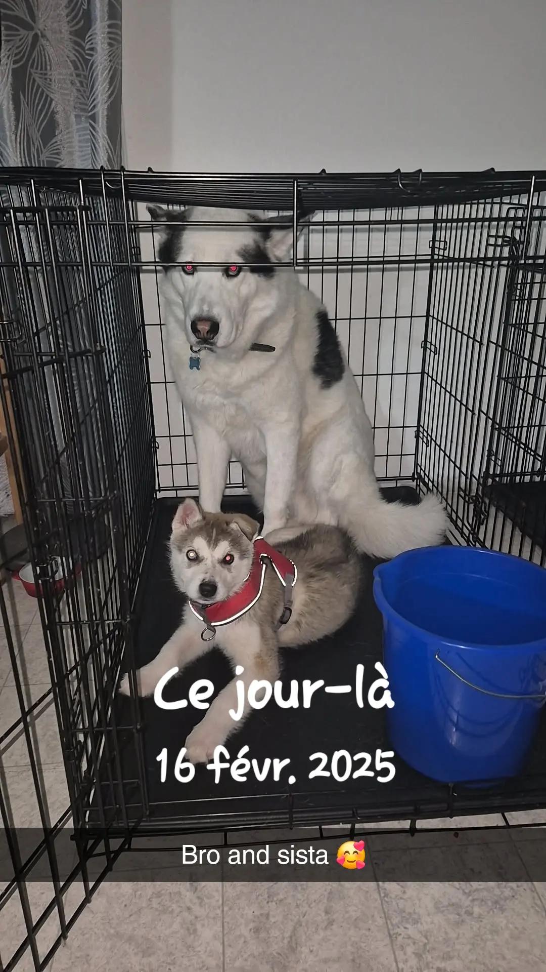 @LaFilleDiff&eacute;rente💛