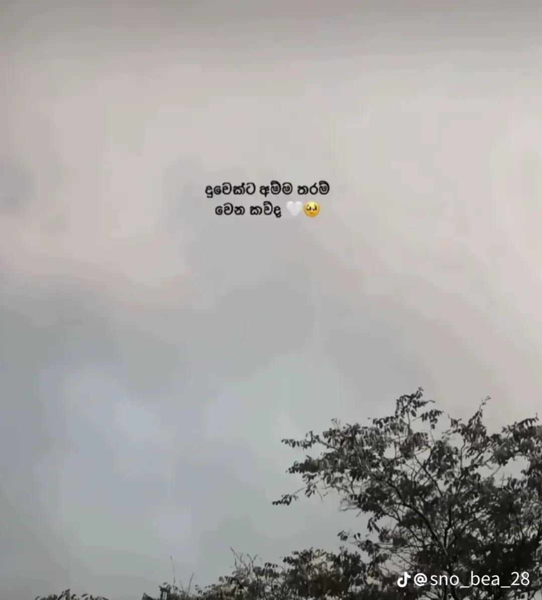 @ShAnU 🧚💐✨