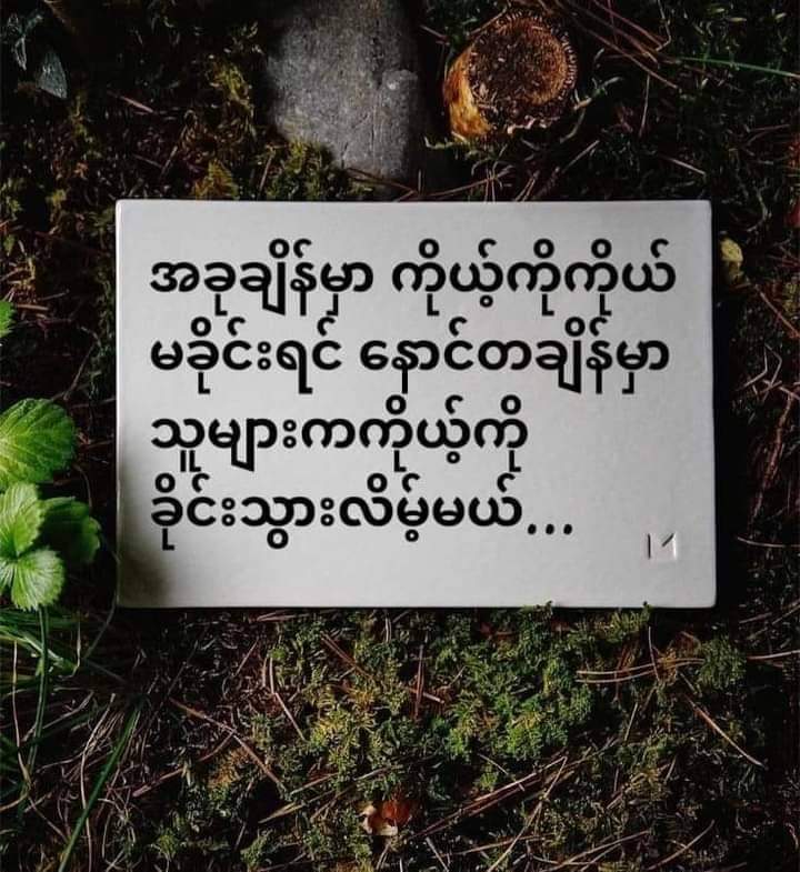 @T_N_P