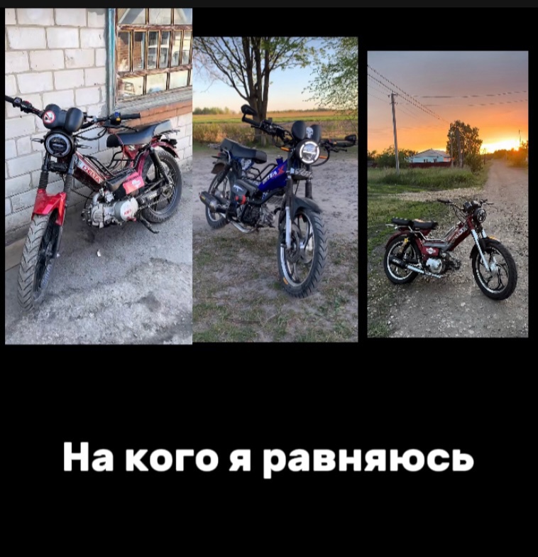 @☠️пилот альфы☠️