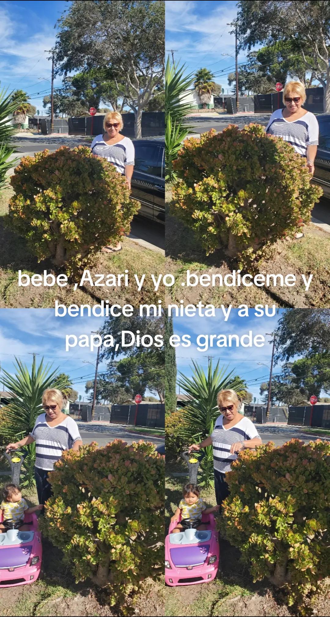 @latiarosa68