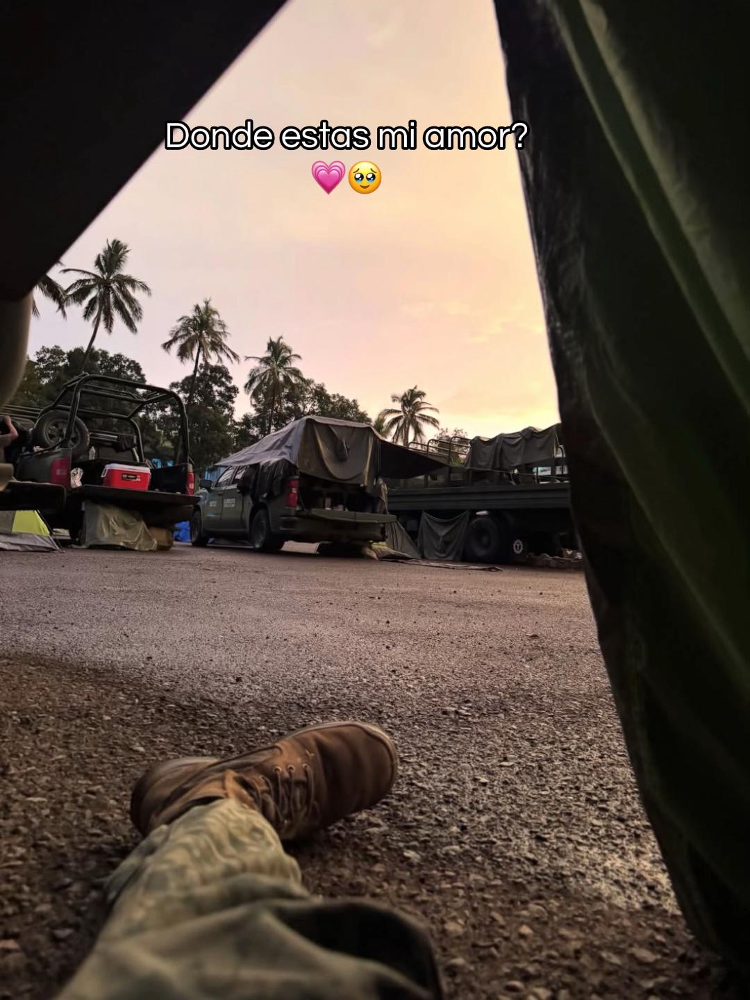 @carlx_op
