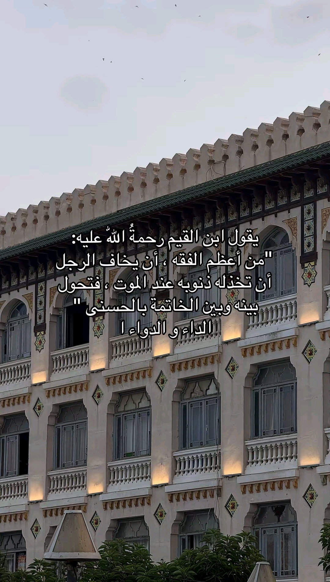 @🥀بلال ابن امحمد بلمداني 🥀