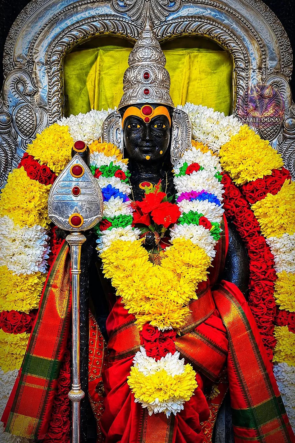 @💜🦚வேதா🔱🌝