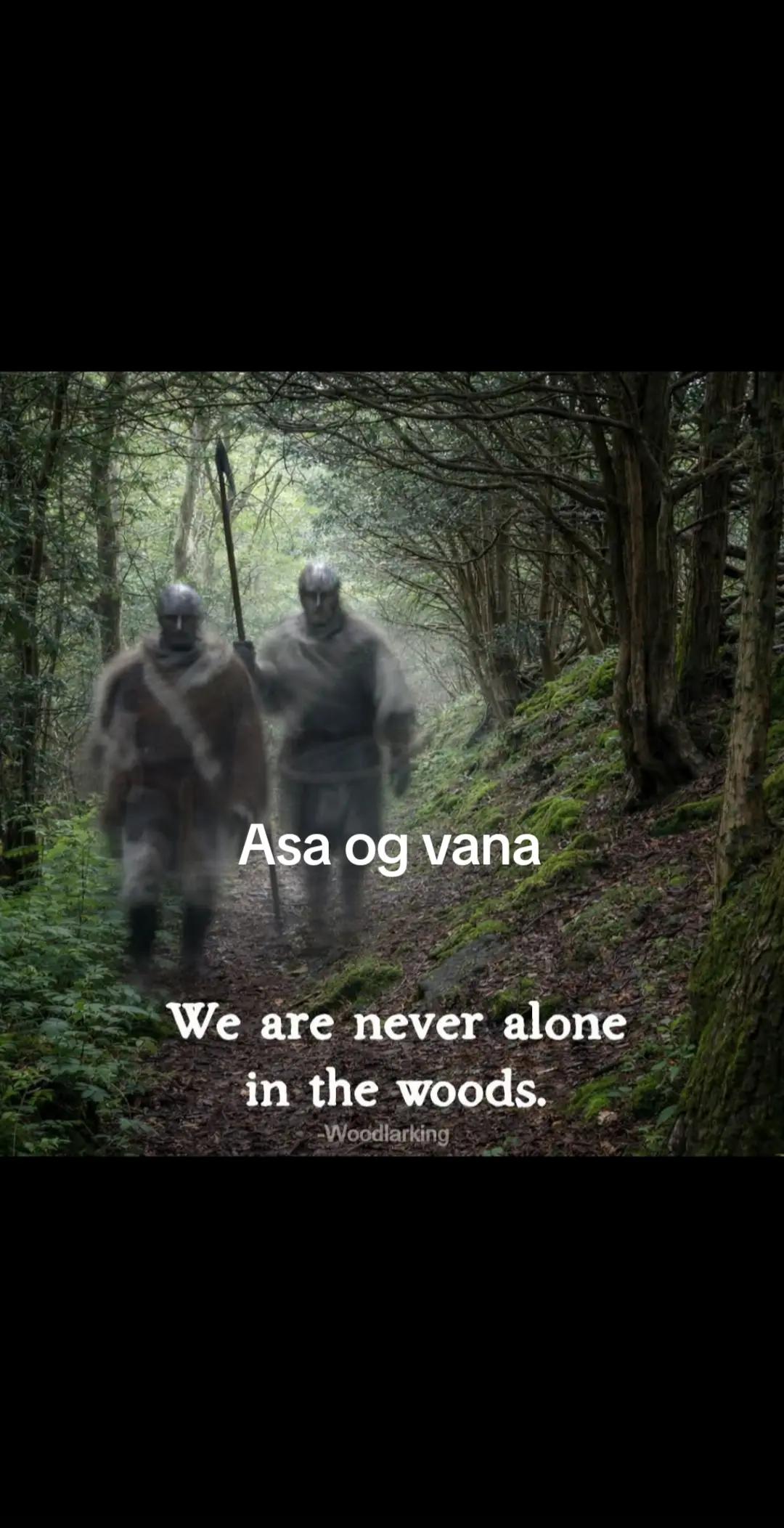 @Old man Berserker🪓Úlfheđnar
