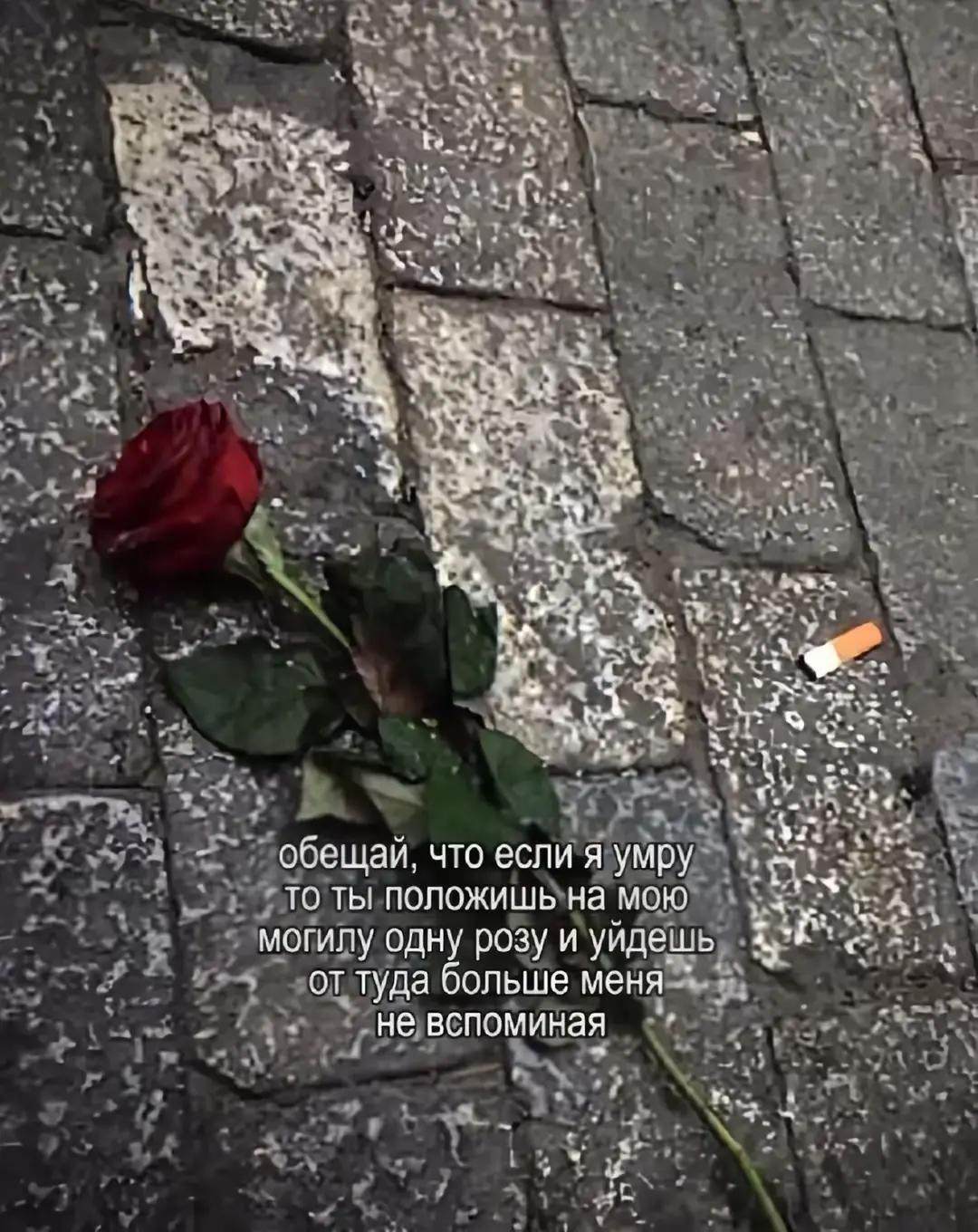 @#шмаль 🤍