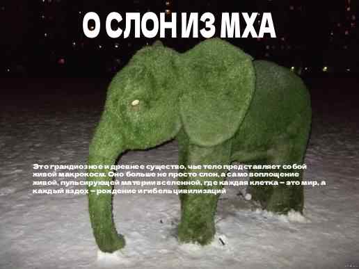 @cryстайл