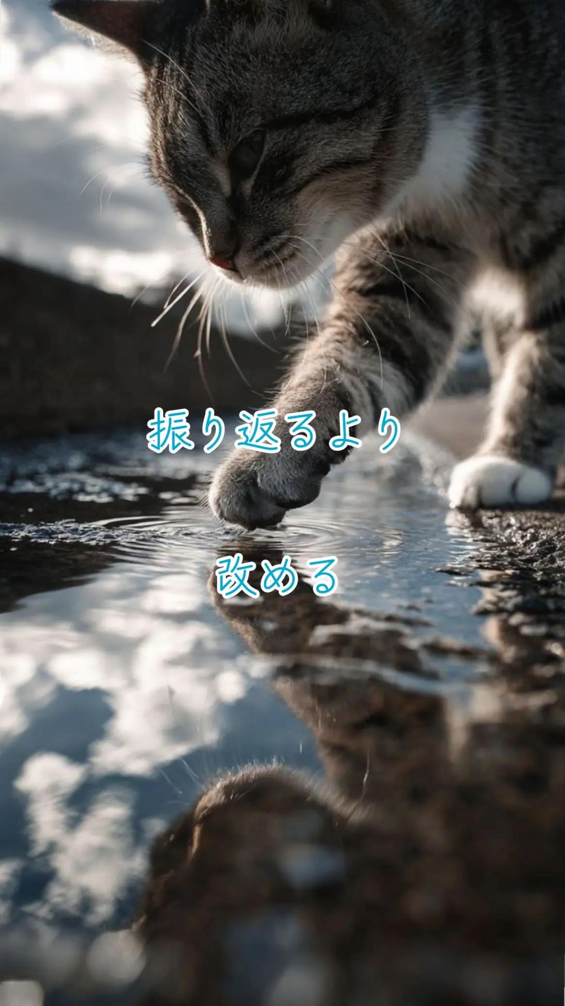 @霊視鑑定士 Tukazuki蒼碧【そうみ】