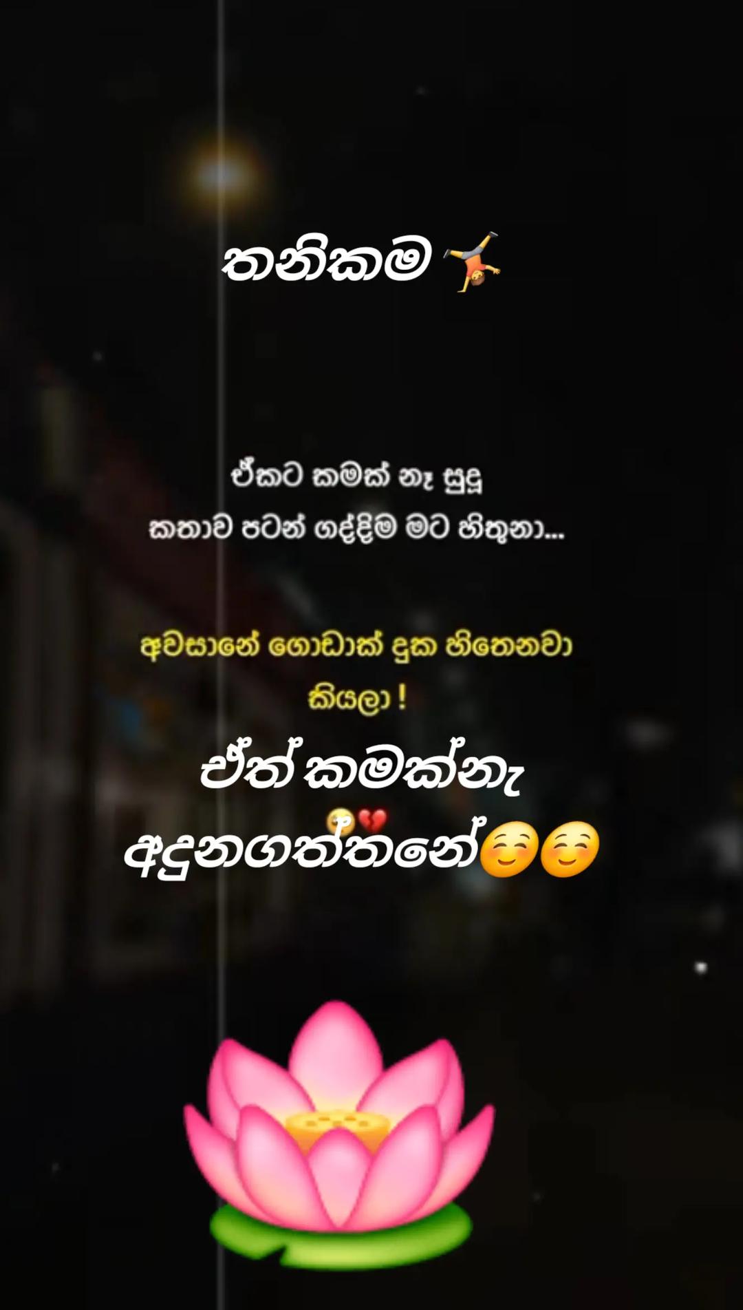 @🇱🇰🎤තනිකමේ🩸🎵🎤 විසේකාරයා🩸
