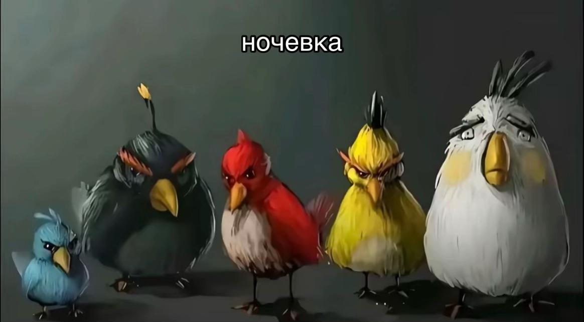 @soww🪽