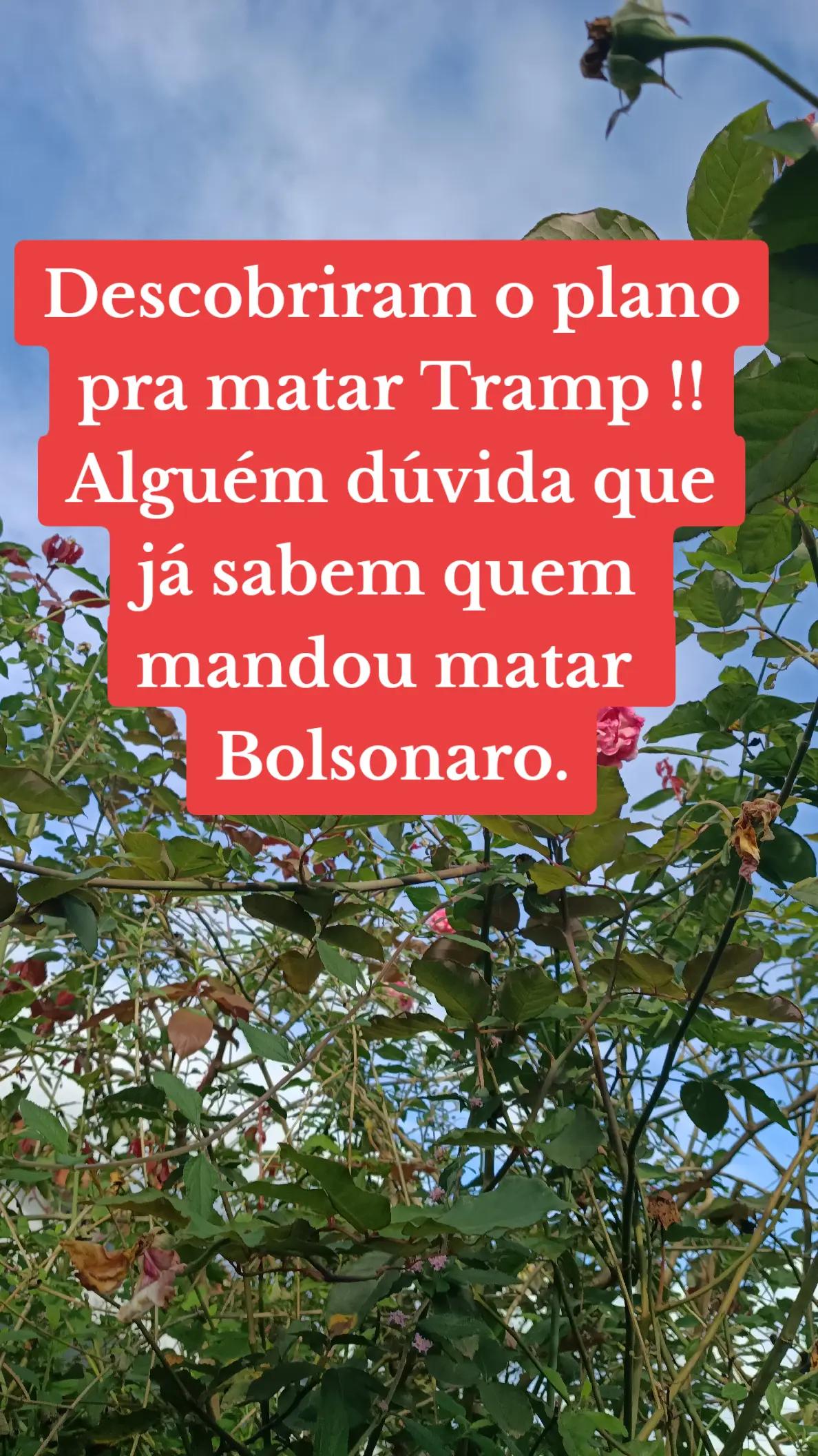 @Penha Reis🇧🇷