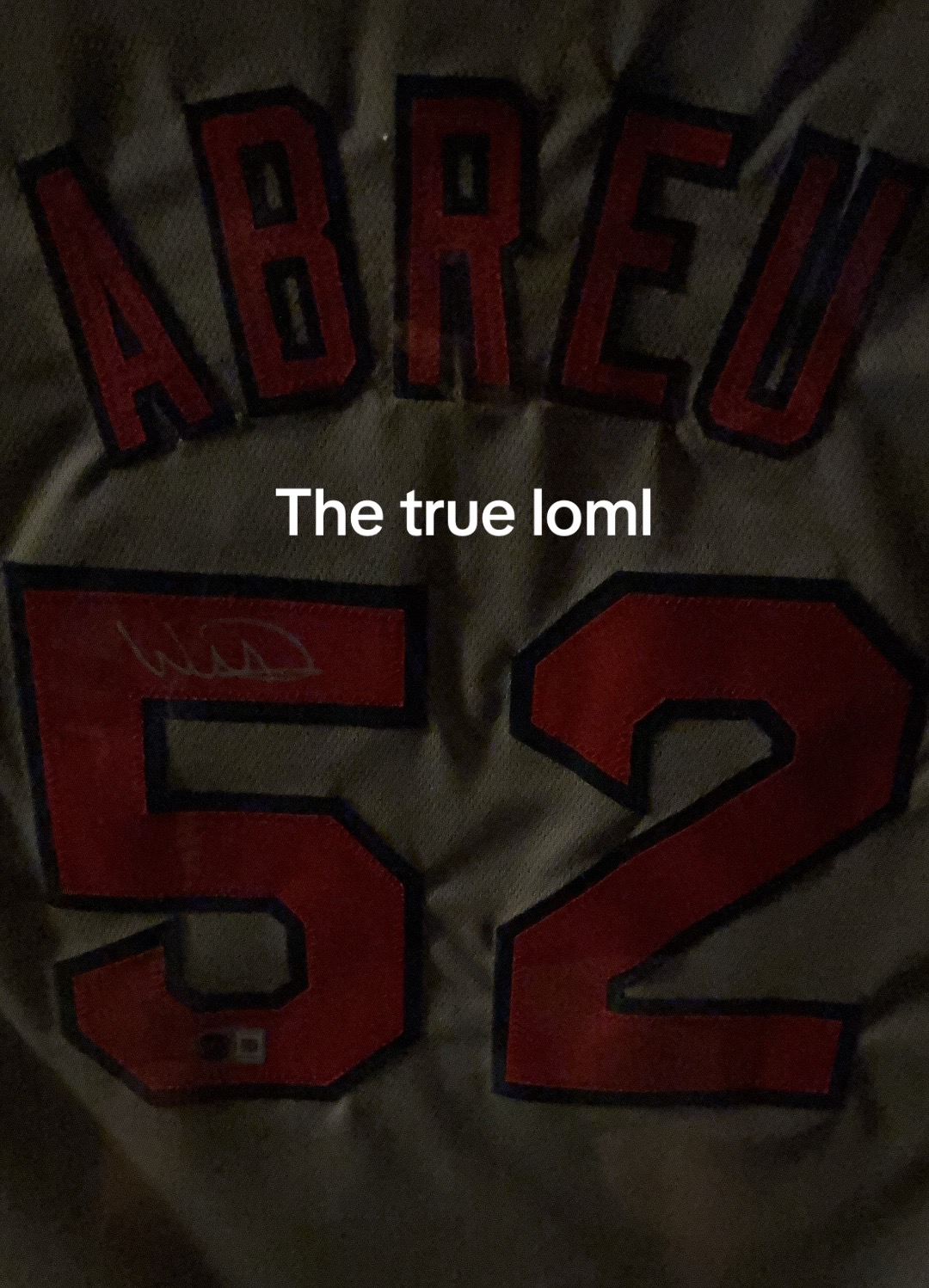 @Wilyer Abreu Lover