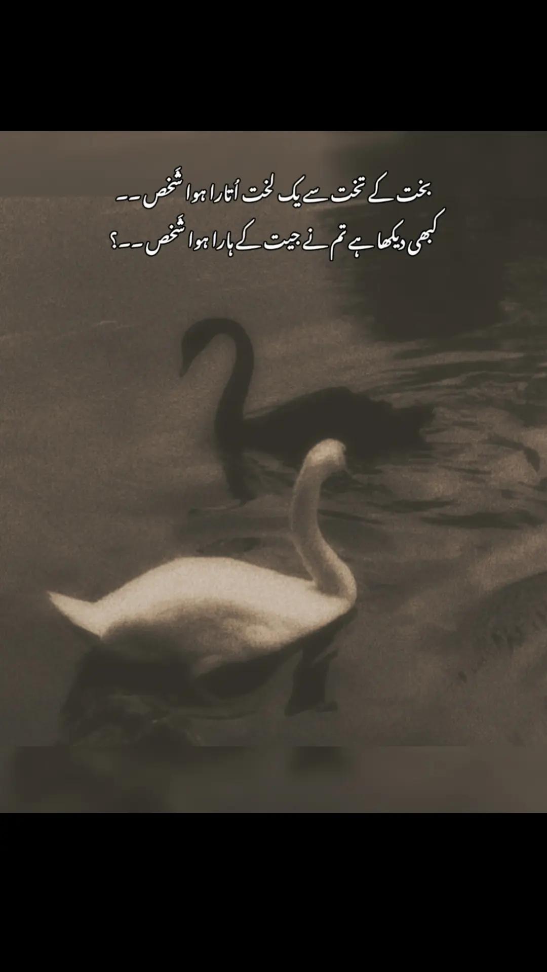 @𝓠𝓾𝓮𝓮𝓷♥