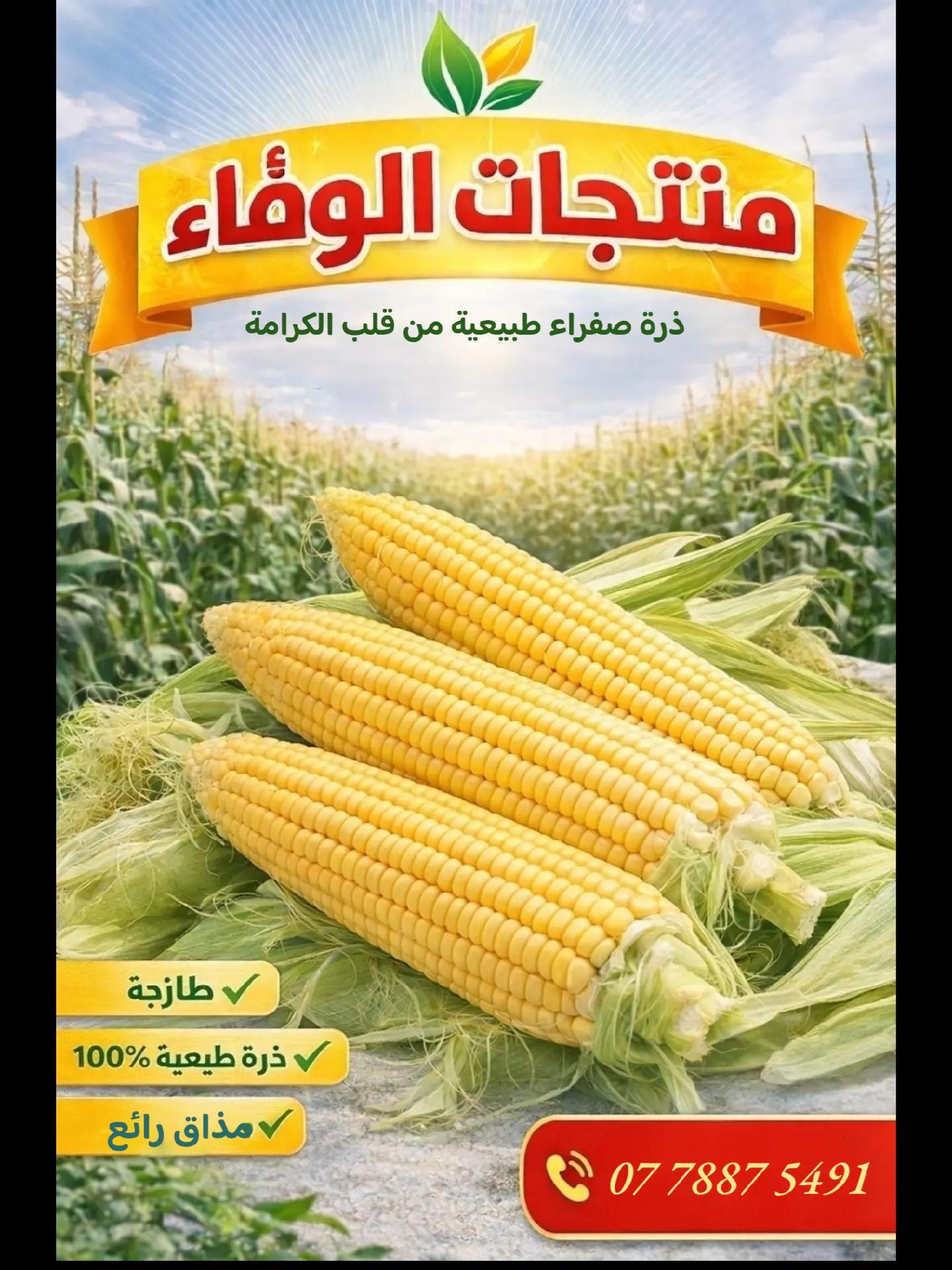 @Mohammad Hassan Alhayek