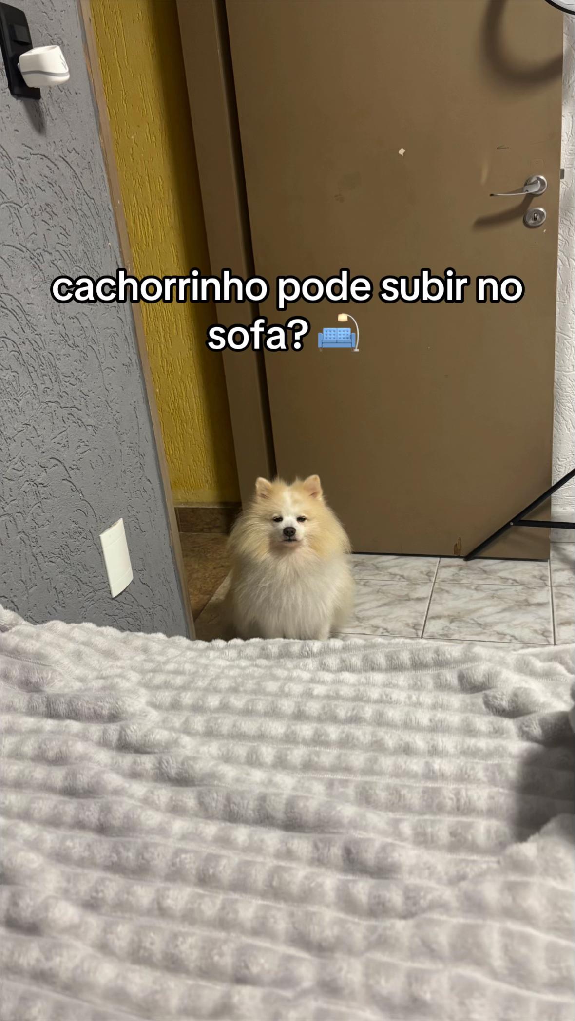 @gigi