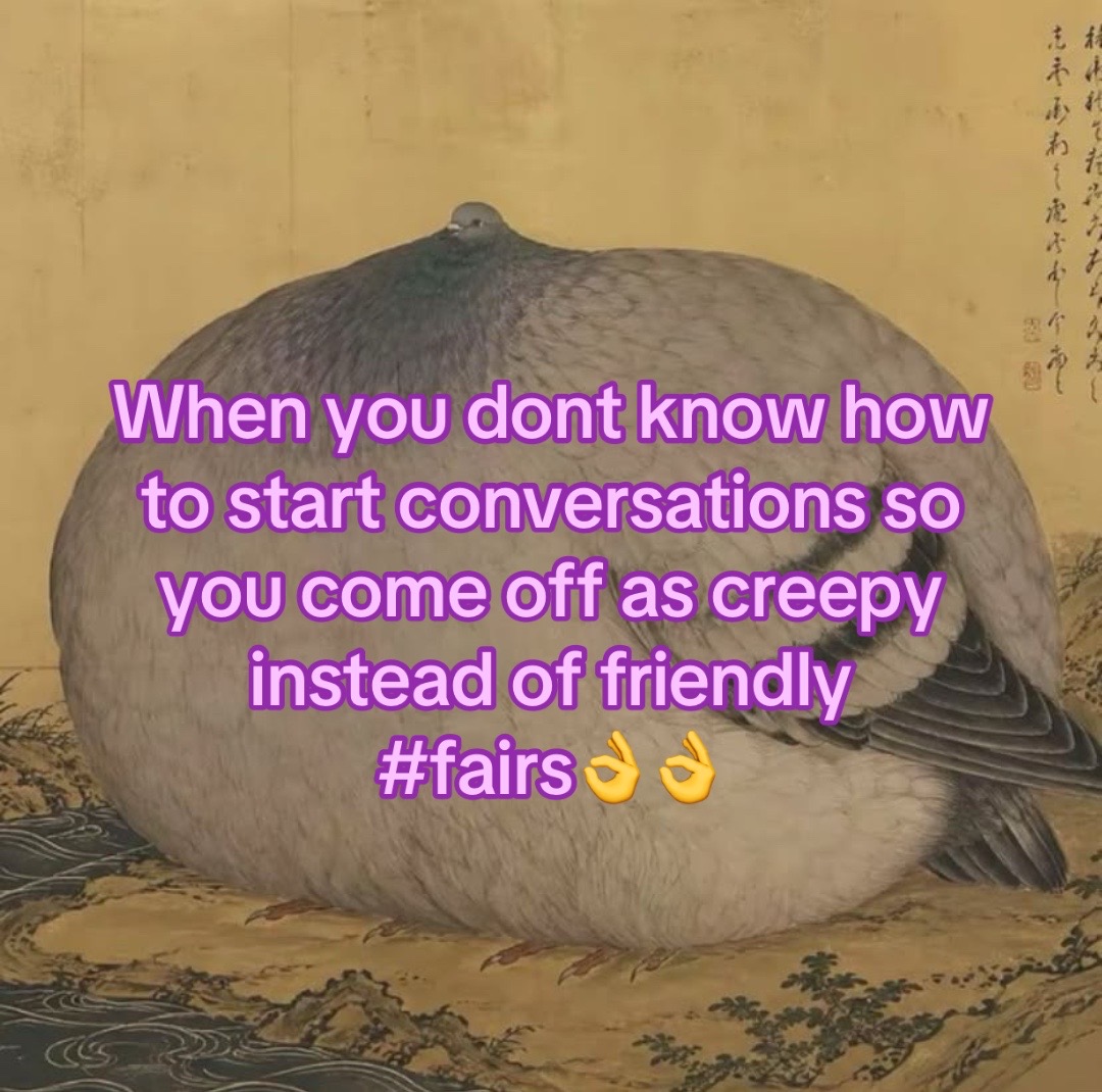 @māo🐯🌺