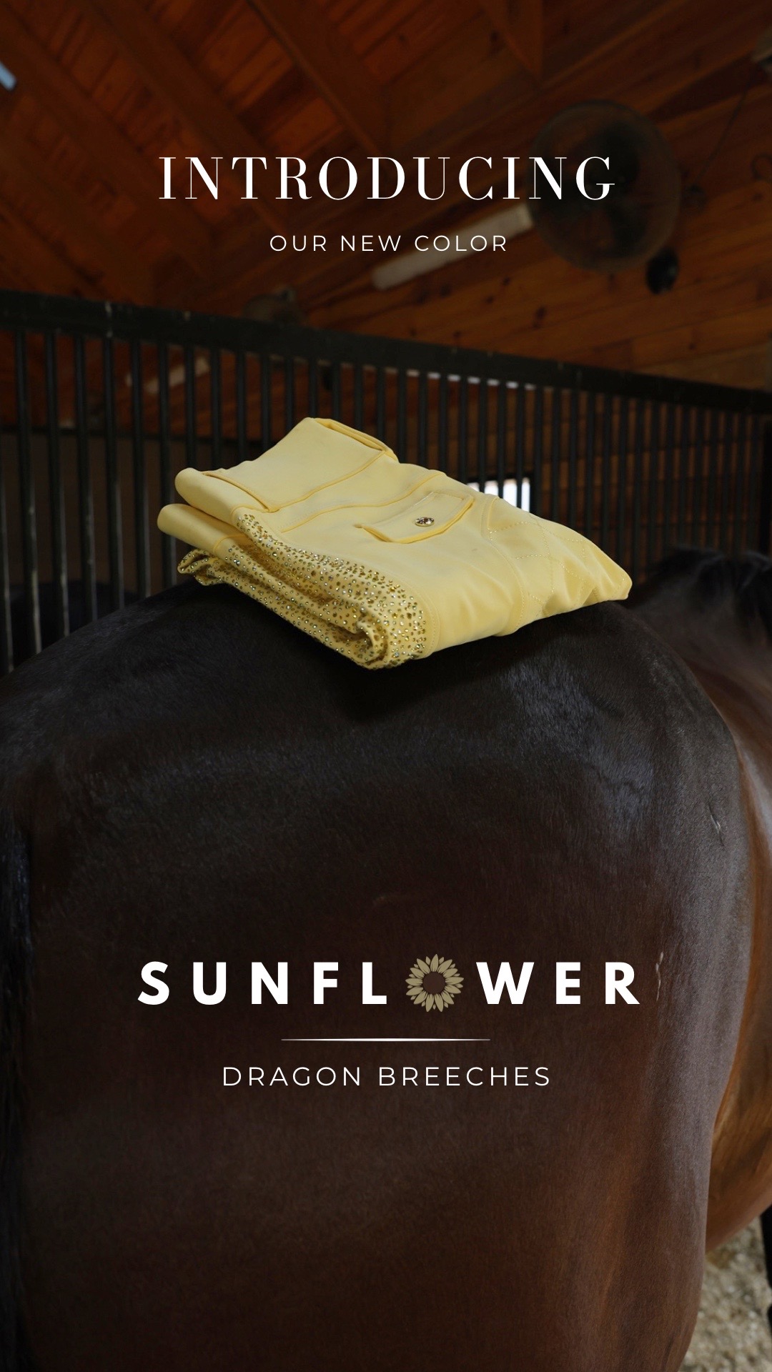 @Sync Equestrian