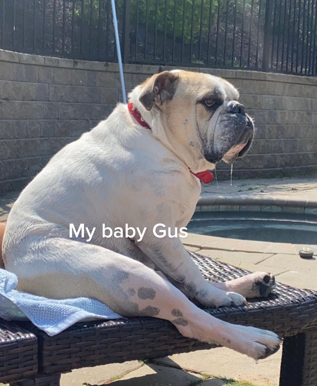 @Ava