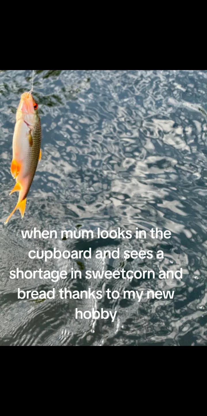 @o4kl3y