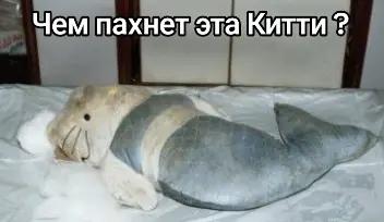 @kinder