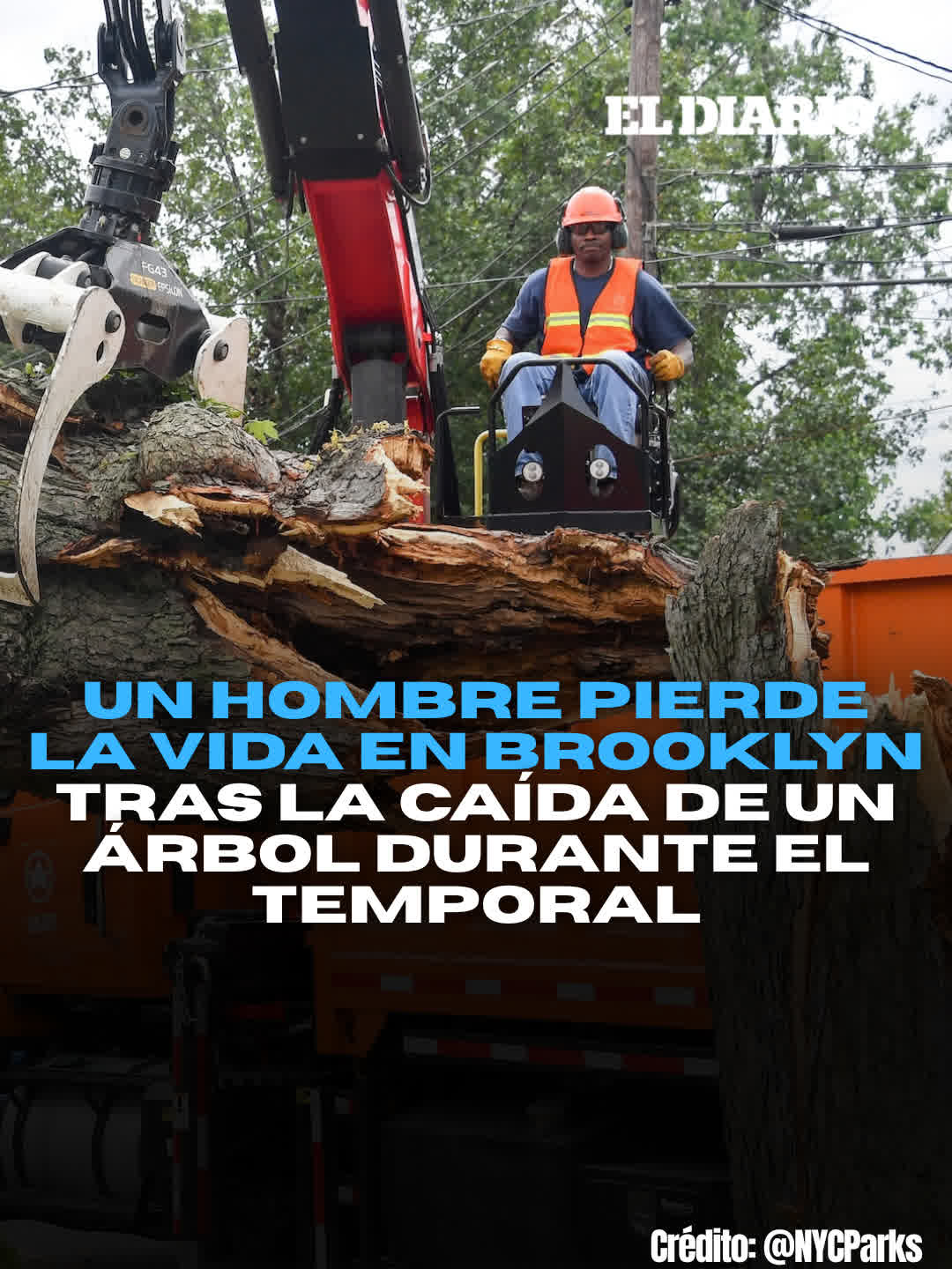 @eldiariony