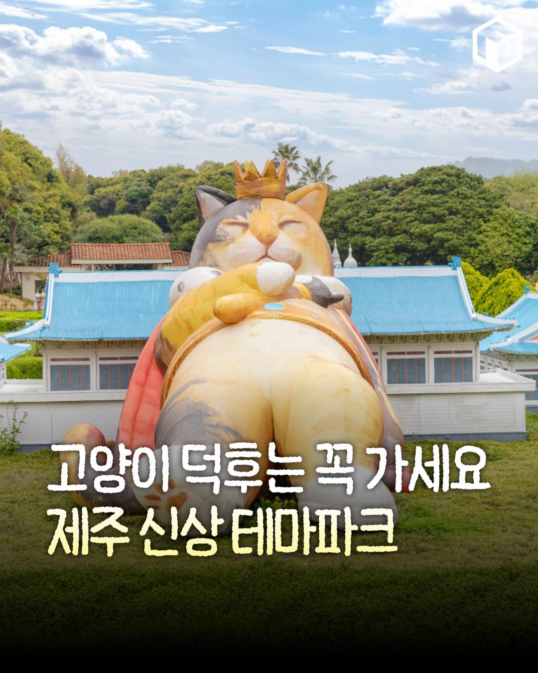 @제주톡톡