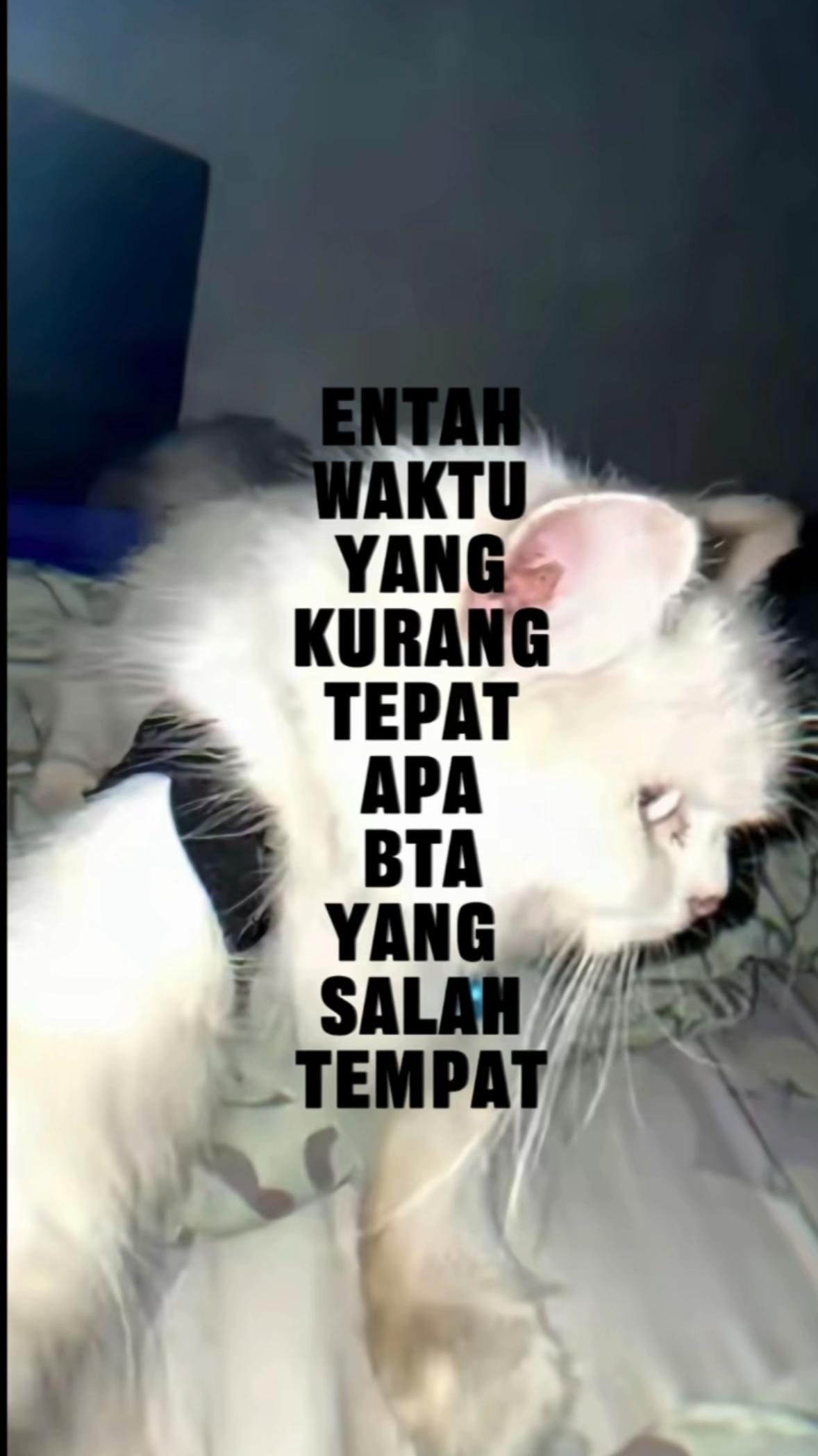 @Iswanefendi