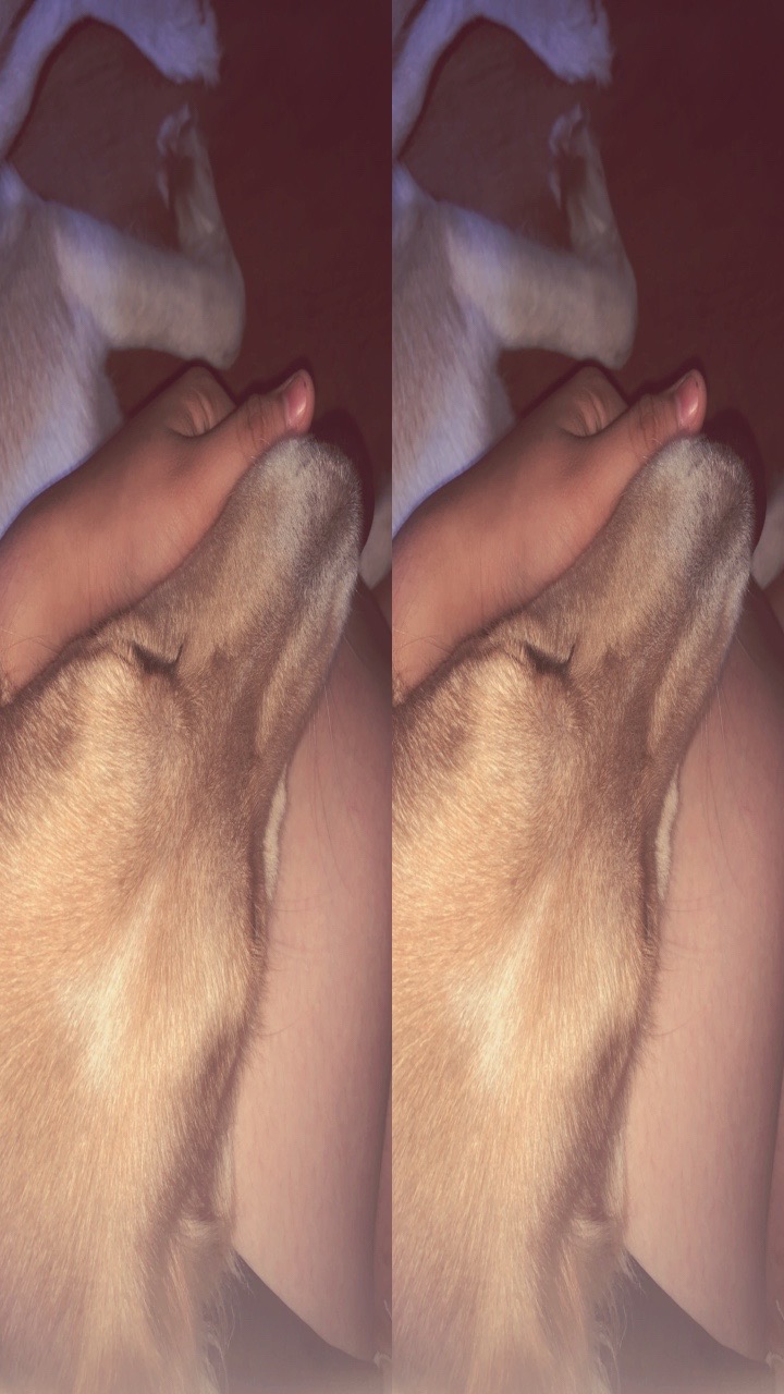 @ᴡɪʟʟᴏᴡ_ʙʀᴏᴏᴋʟʏɴ