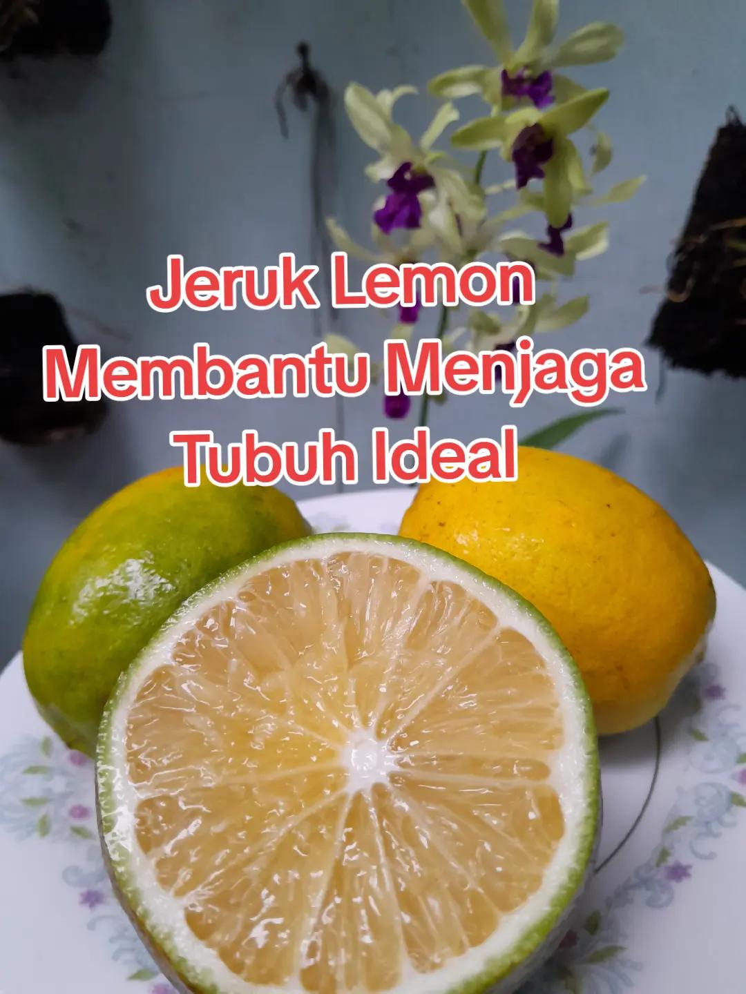 @Ambar healthy herbapedia