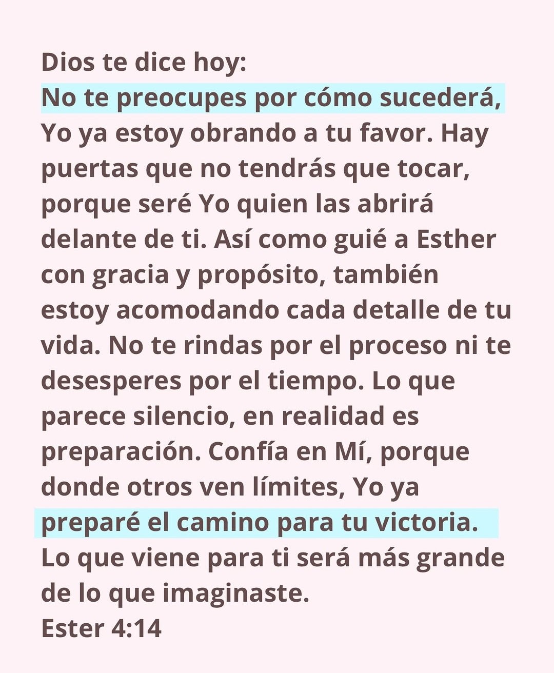 @Andrea Morales