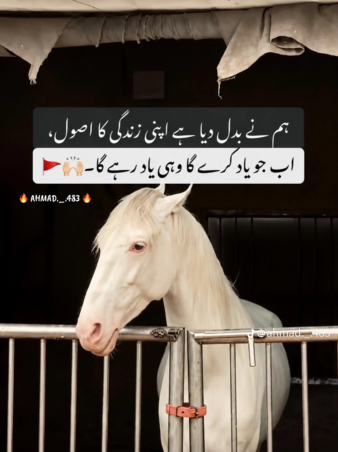 @affan