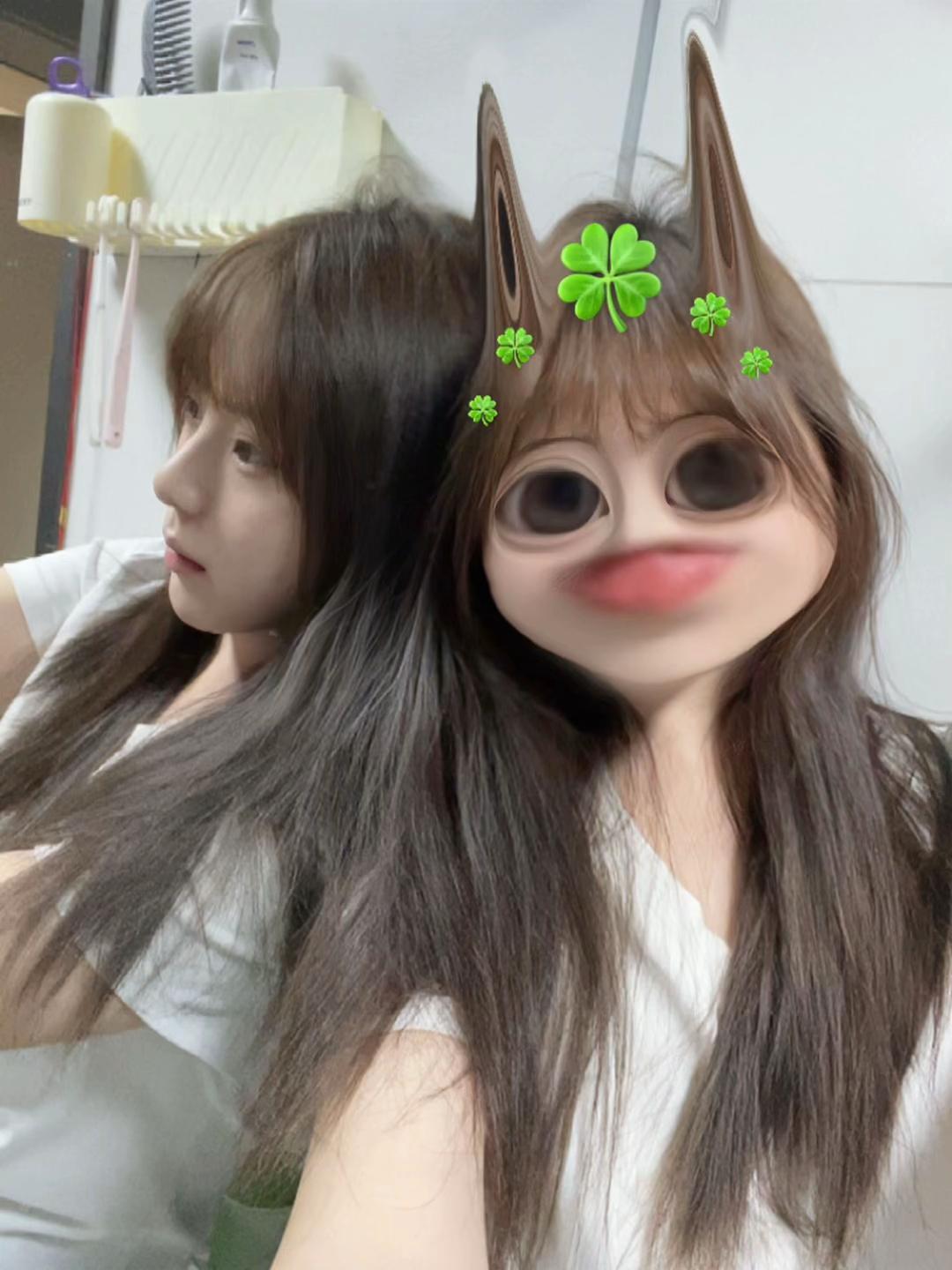 @꒰ᐢ. .ᐢ꒱