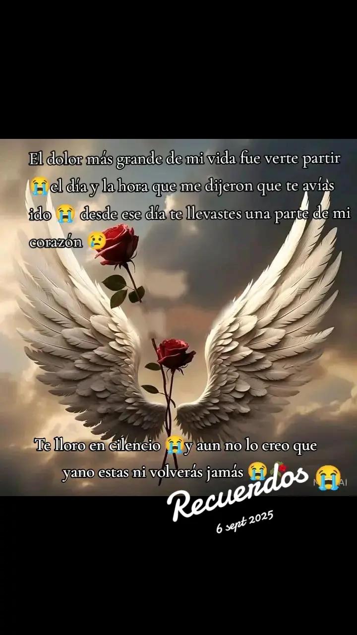@🎲 Melendrez🇬🇹