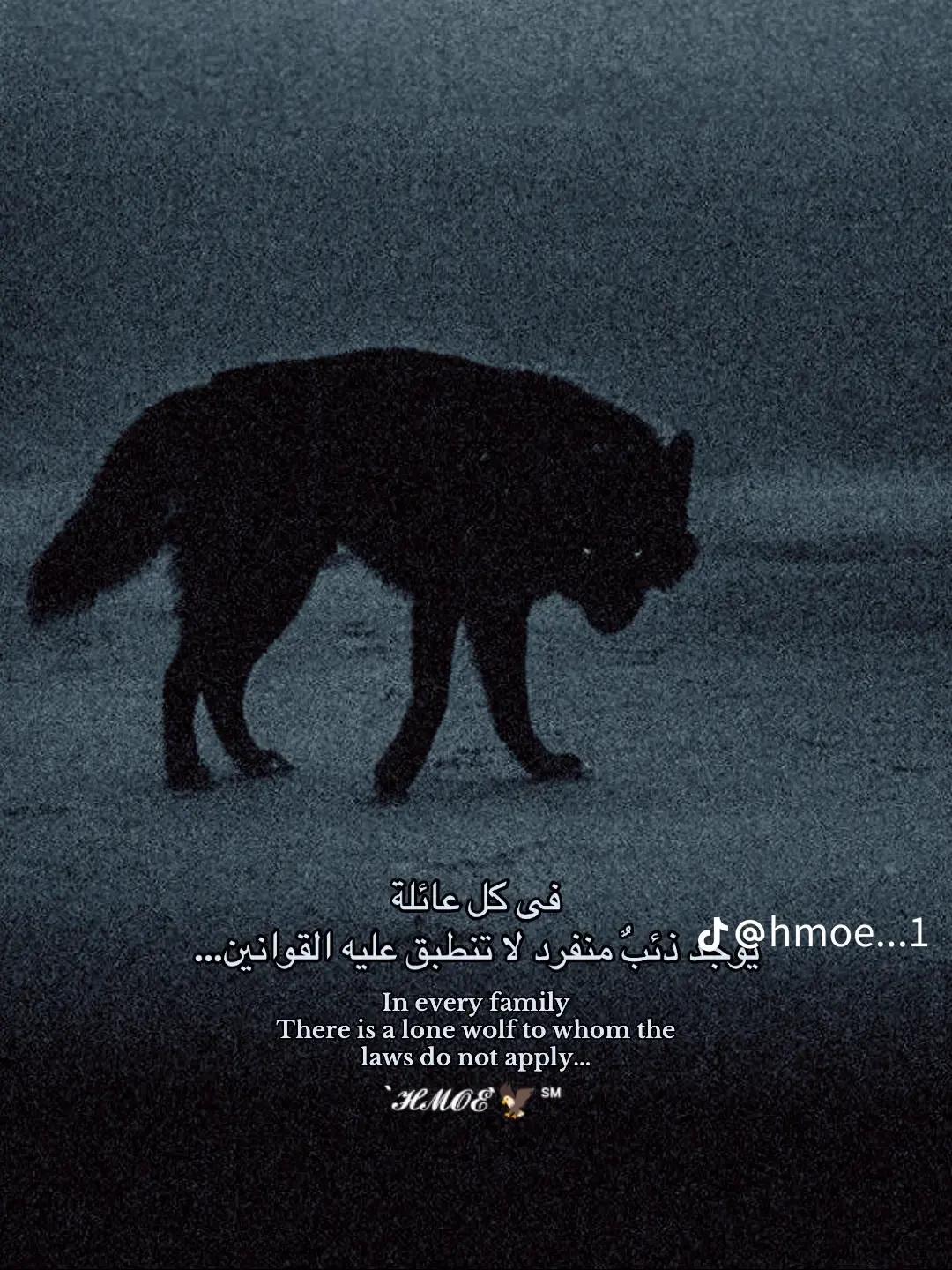 @{&laquo;♛شيكااً♕&raquo;}
