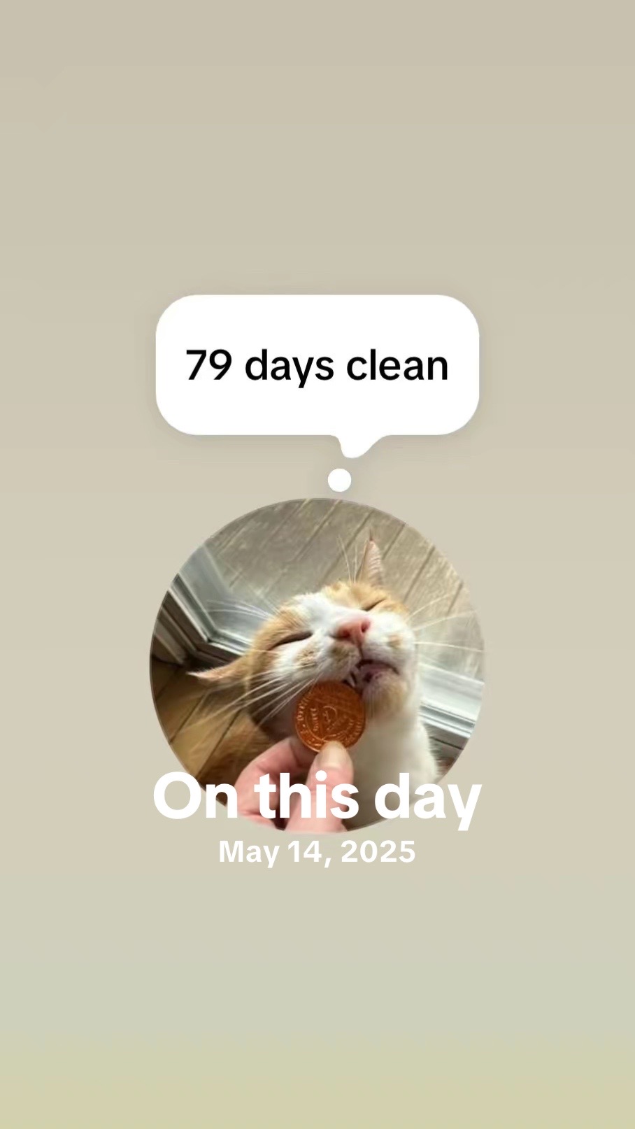 @finnsrecoveryjourney