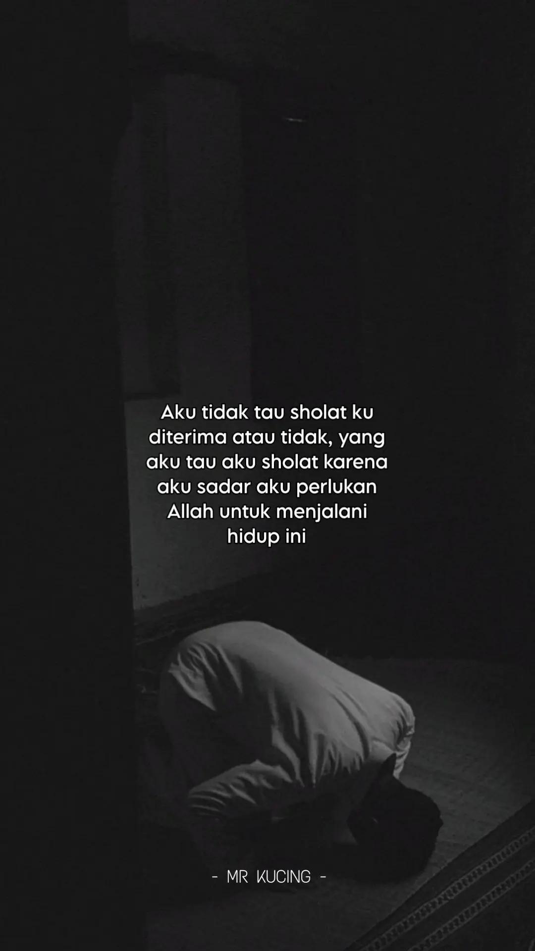 @MR KUCING 🇵🇸