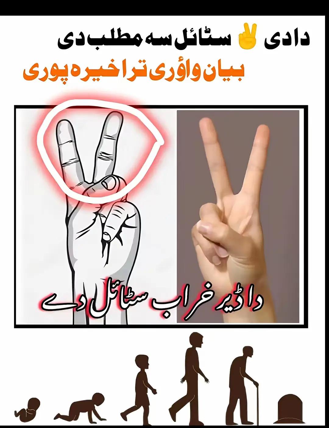 @z♥sܔᴢᴜʙᴀɪʀ ࿐jaan༻